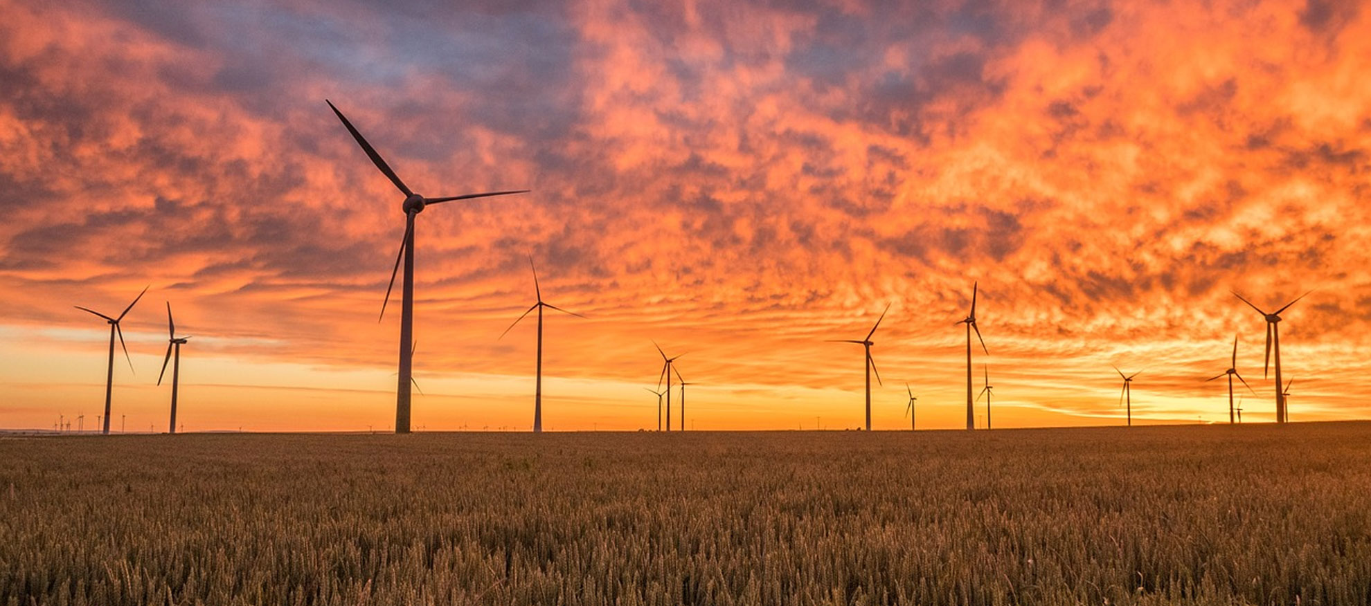 Energy Visibility at Scale
