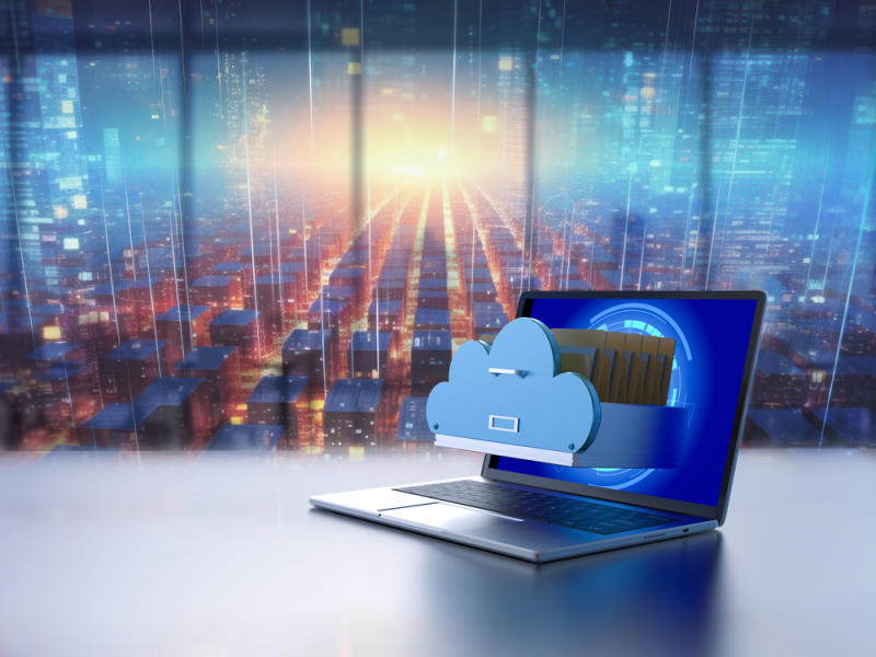 The Evolution of Software Procurement
