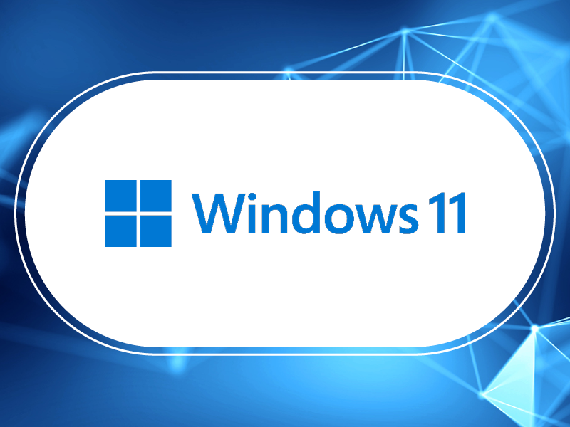 Windows 11 Pro - 4 Sight Holdings